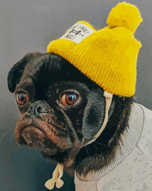 Pug With Yellow Hat paint by numbers