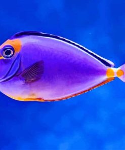 Purple Fish paint by numbers