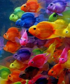 Diverse Colorful Fishes In The Aquarium paint by numbers