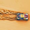 Rally Car In Desert paint by number