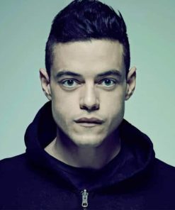 Rami Malek Mr Robot paint by number