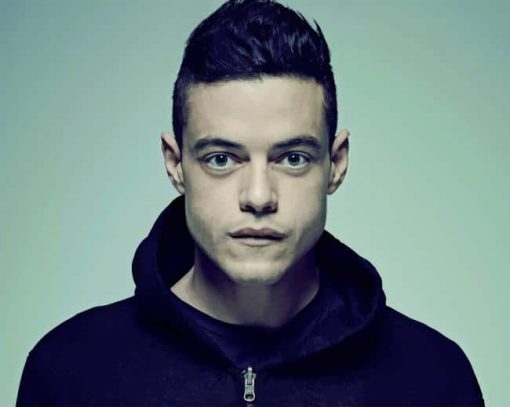 Rami Malek Mr Robot paint by number