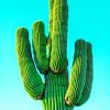 real green cactus painting by numbers