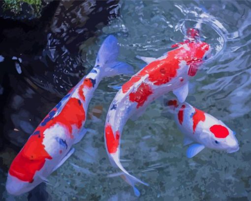 Red And White Koi Fish paint by number