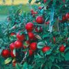 Red Apple Tree paint by number