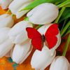 Red Butterfly On White Tulips paint by numbers