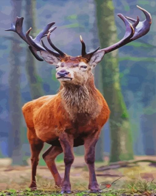 Red deer paint by numbers