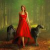 Red Dress Girl Walking With Dogs paint by number