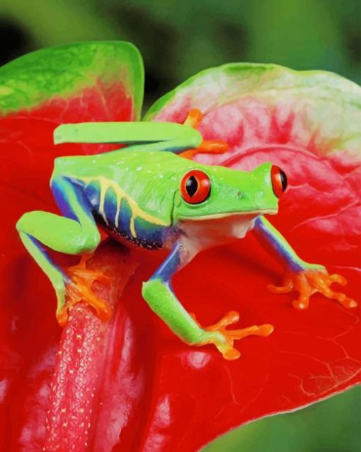 Red Eyed Frog paint by numbers