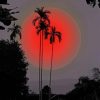 red moon and palm trees paint by numbers