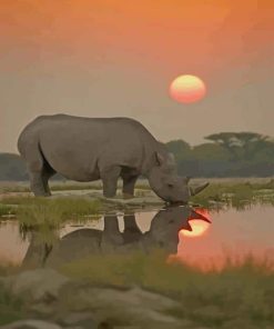 Rhino Sunset paint by numbers