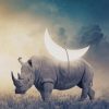 rhino surrealism paint by numbers
