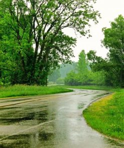road in rrainy season painting by numbers
