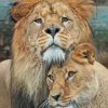 Romance Couple Lion and Lioness paint by numbers