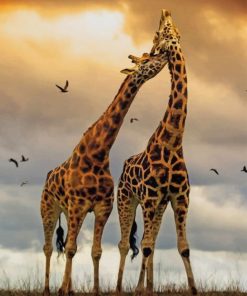 Romance Couple of Giraffe paint by numbers