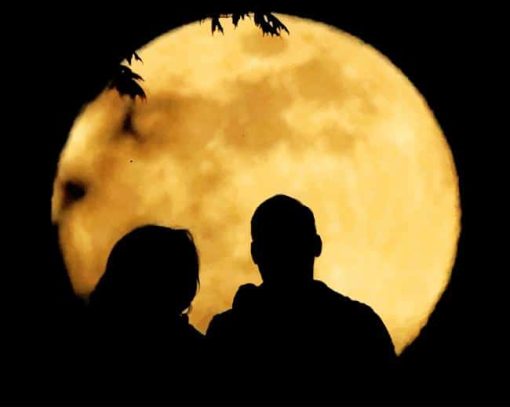 romantic moment wit couples in front of the moon painting by numbers