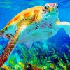 Sea Turtle Under Water paint by numbers