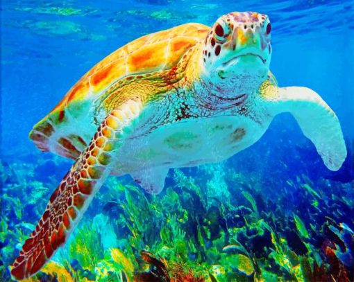 Sea Turtle Under Water paint by numbers