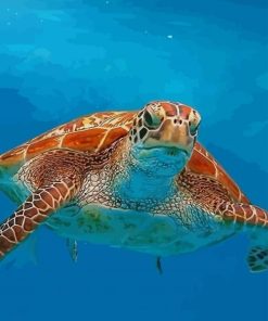 Yellow Sea Turtle paint by numbers