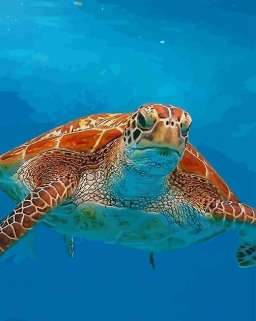 Yellow Sea Turtle paint by numbers