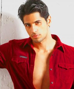 Sidharth Malhotra Actor paint by numbers
