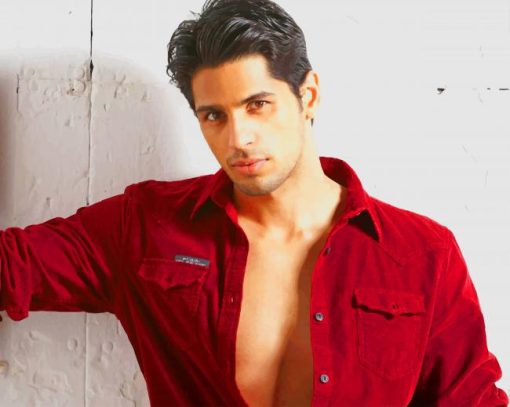Sidharth Malhotra Actor paint by numbers