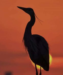 Silhouette Of Bird paint by numbers