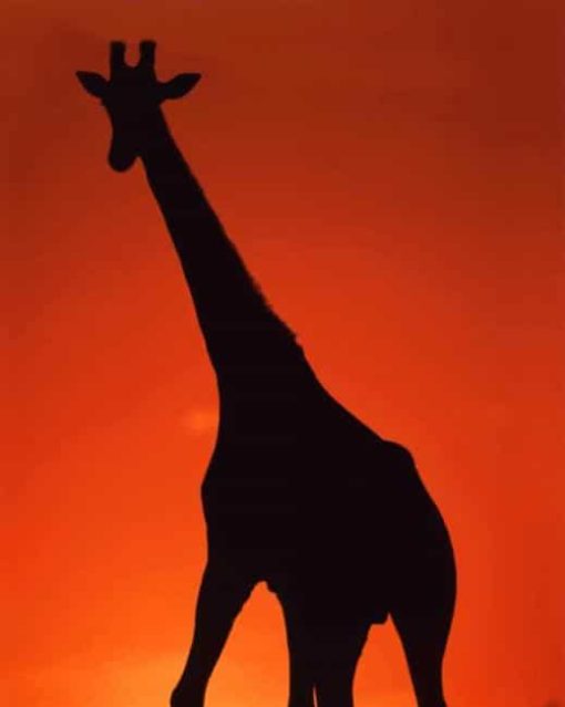 Silhouette of Giraffe paint by numbers