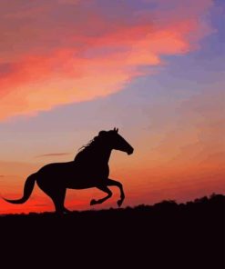 Silhouette of Horse Running paint by numbers