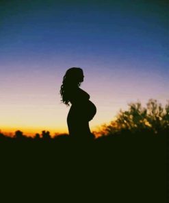 Silhouette of Pregnant Woman paint by numbers