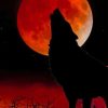 Silhouette of Wolf and Moon paint by numbers