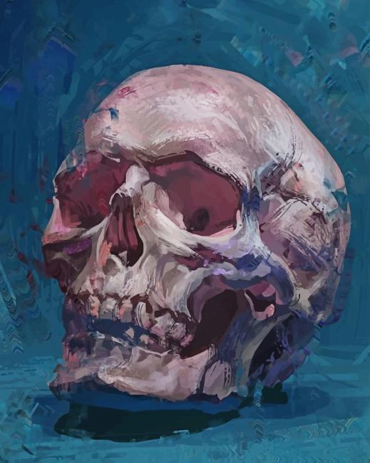 Skull paint By numbers