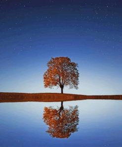 small tree reflection paint by number