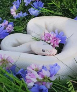 Snake In Flowers paint by numbers