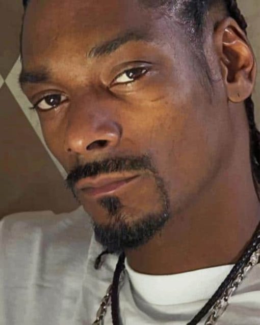 Snoop Dogg Rapper paint by numbers