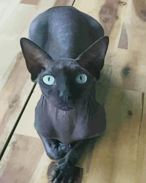 Sphynx Cat Black paint by numbers