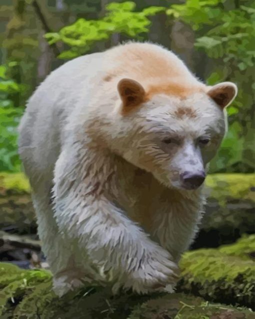 Spirit Bear paint by numbers