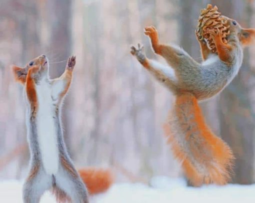 Squirrels Having Fun In Snow paint by number
