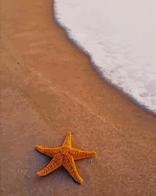 Starfish On The Beach paint by numbers