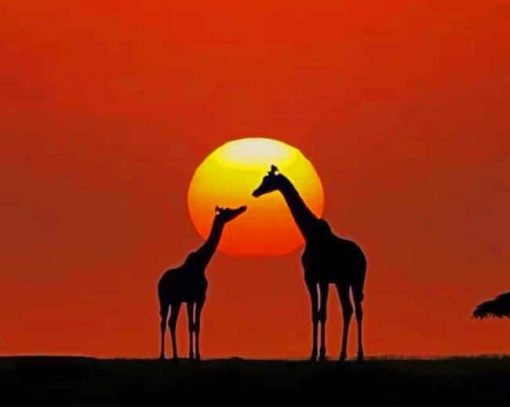 Sunset African Giraffes paint by numbers