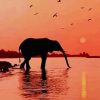 Sunset Beautiful Elephant paint by numbers