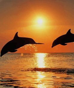 Sunset Dolphins paint by numbers
