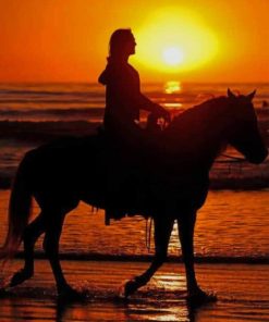 Sunset Horse Ride on The Beach paint by numbers