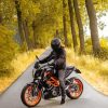 Black Motorbike In The Woods Paint by numbers
