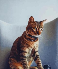 Tabby Cat paint by numbers