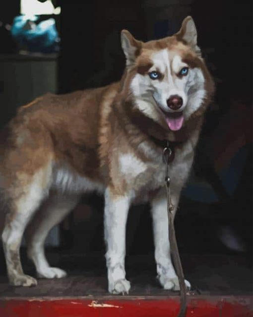 Tan Husky paint by numbers