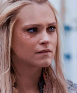 the 100 Star Clarke Griffin paint by numbers