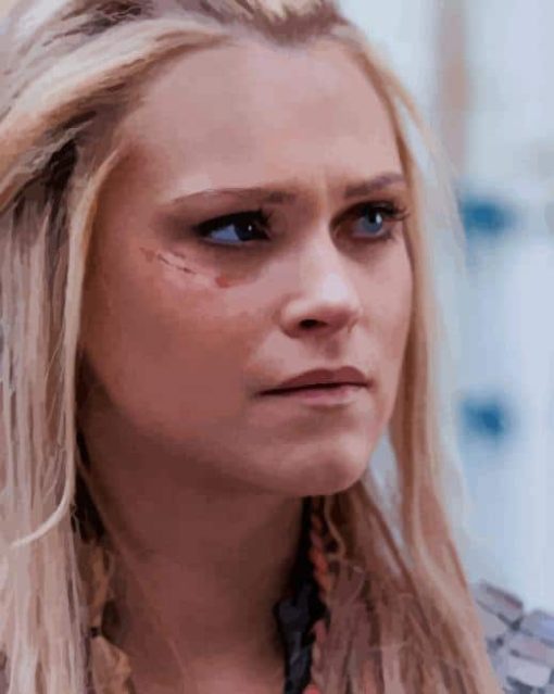 the 100 Star Clarke Griffin paint by numbers