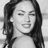 The Beautiful Megan Fox Black And White paint By Numbers