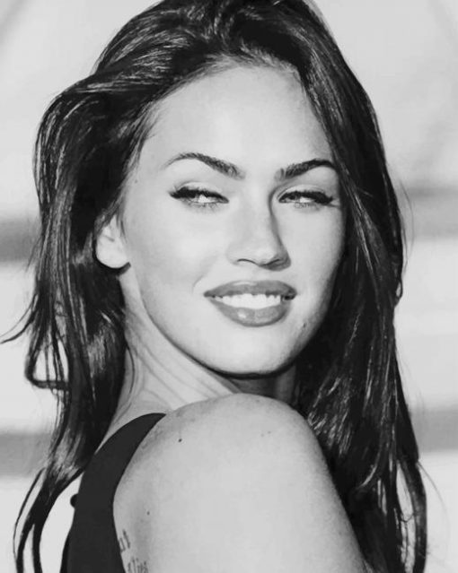 The Beautiful Megan Fox Black And White paint By Numbers